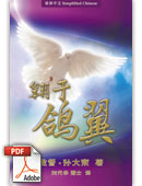 翱于鸽翼 (简体中文) (电子书PDF下载）